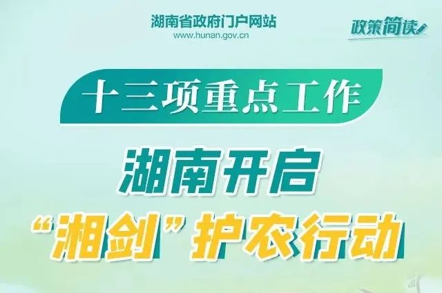 桂东招聘网最新招聘信息及动态概览