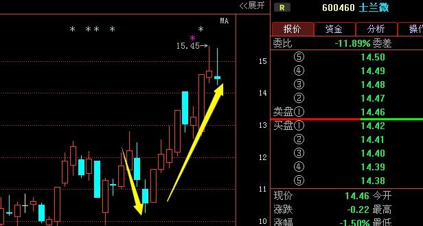 士兰微最新消息综述，引领行业前行，研发与市场动态同步创新