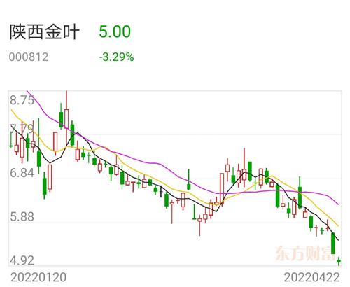 陕西金叶展现新态势，迈向新征程的最新消息