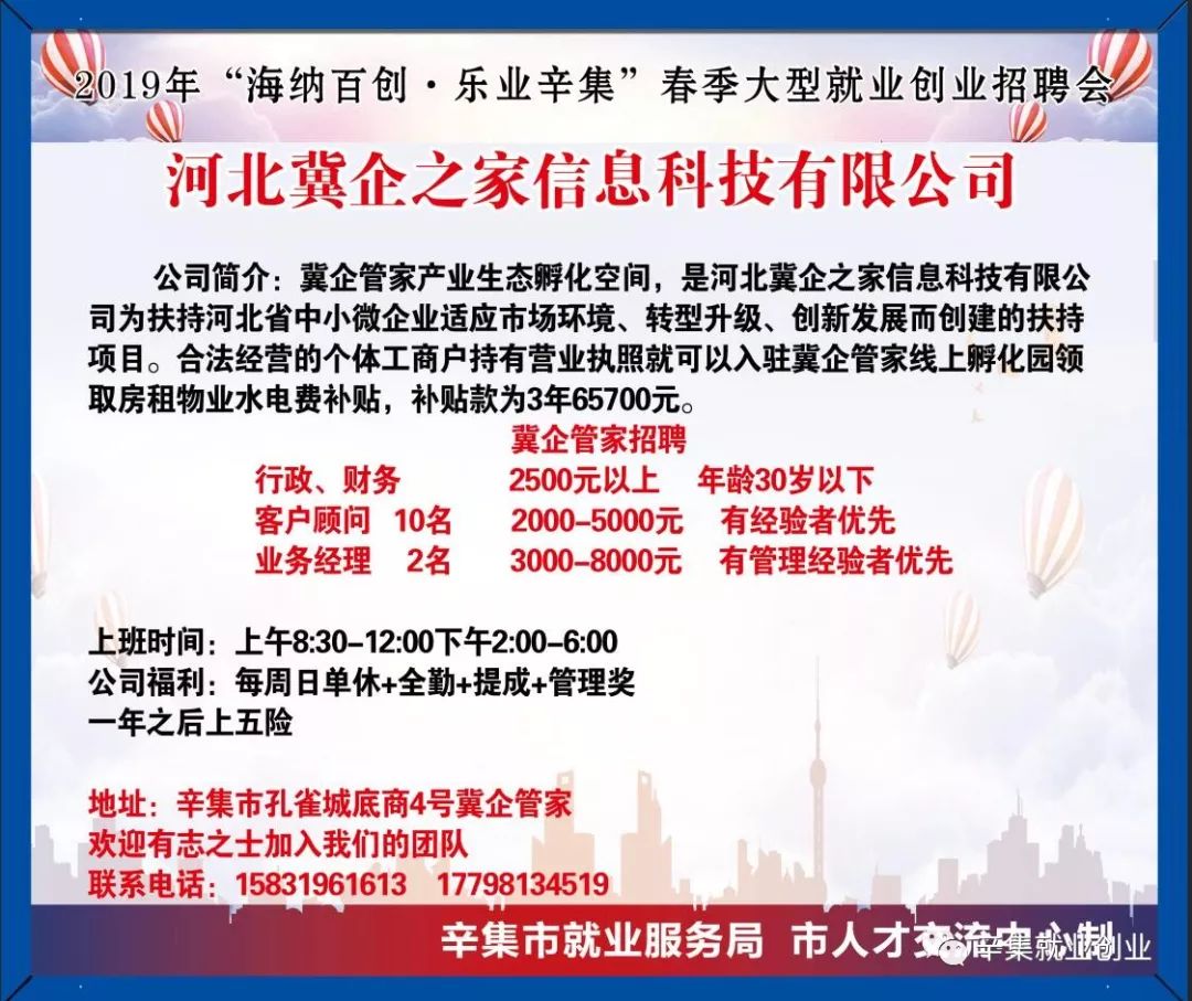 辛集369招聘网最新招聘动态深度解析及求职指南