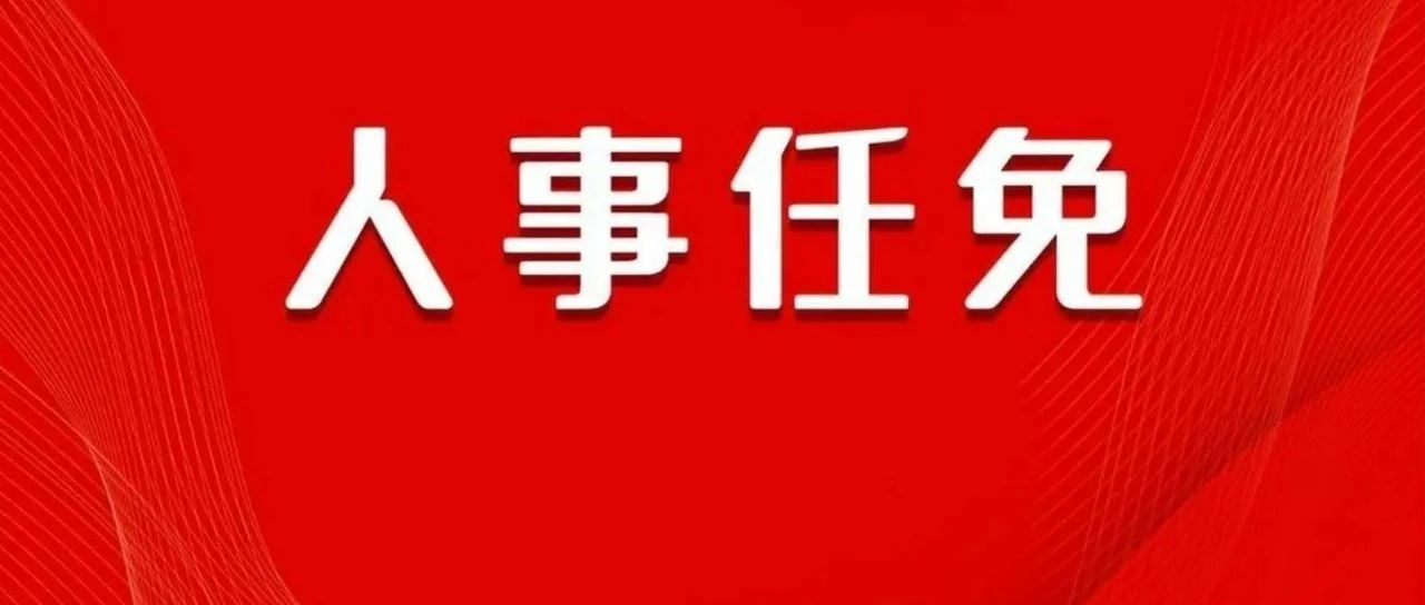 最新任免，重塑领导团队力量，展望未来发展