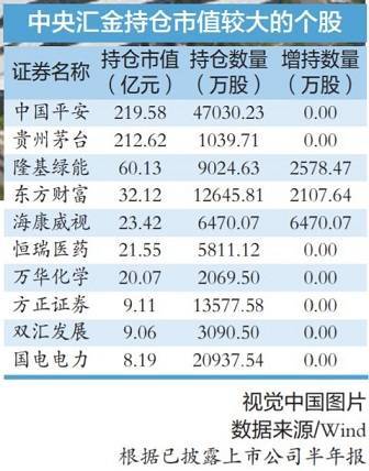 中央汇金持股名单最新深度解析