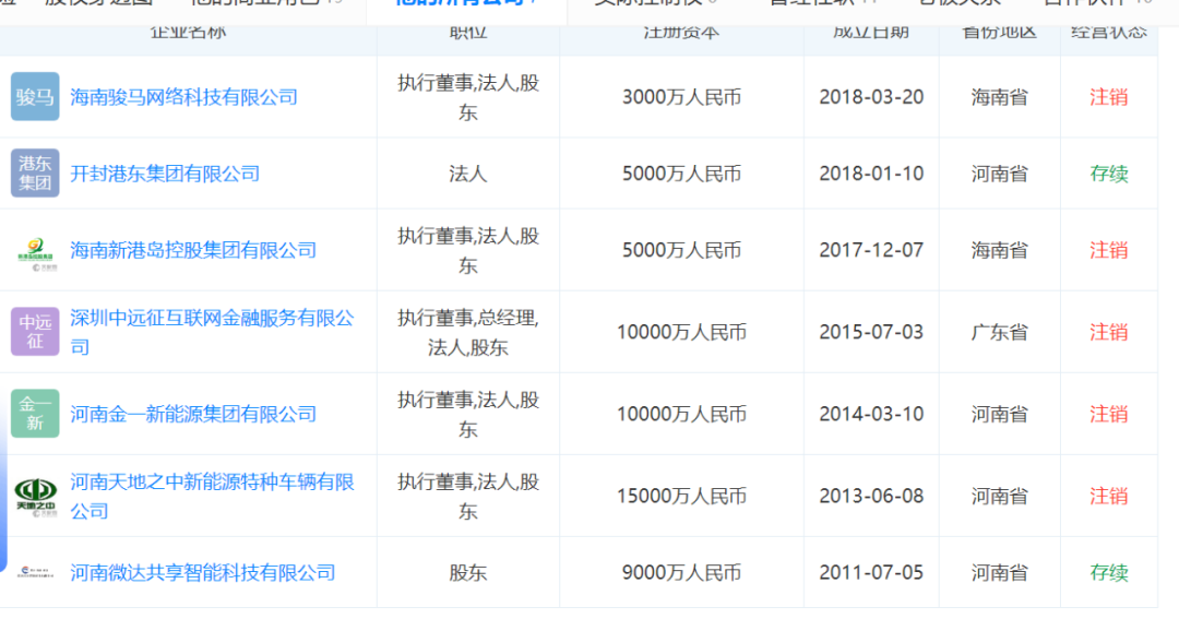 新港岛控股集团最新消息全面解析