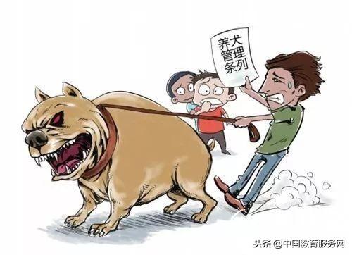 杭州最新养狗规定，推动人与犬只和谐共生，共融共融发展