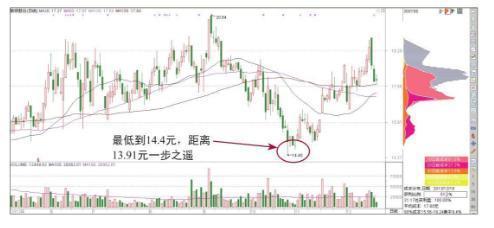 新研股份最新消息全面解读与分析