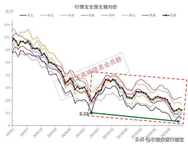 全国最新生猪价格动态分析与预测