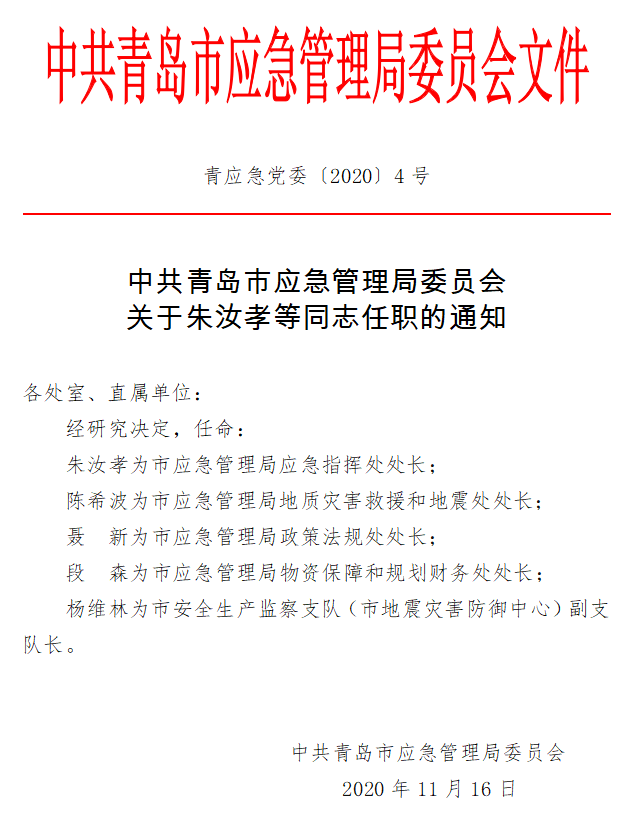 青岛最新人事任免动态概览