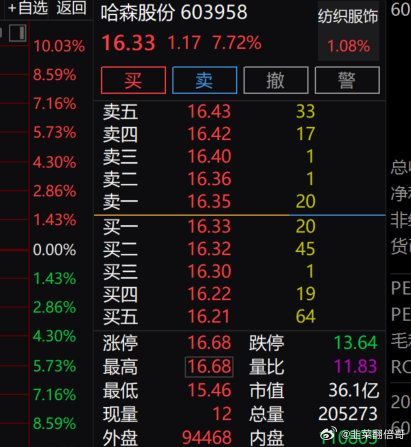 哈森股份最新动态全面解析