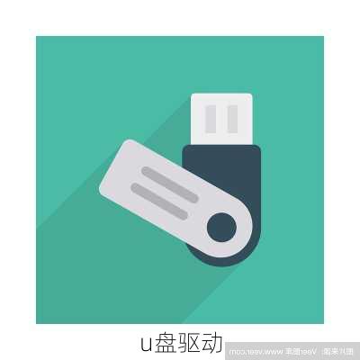 手机U盘驱动下载详解与解析