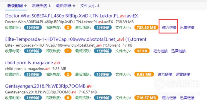 磁力链接下载，数字时代的新下载方式探索