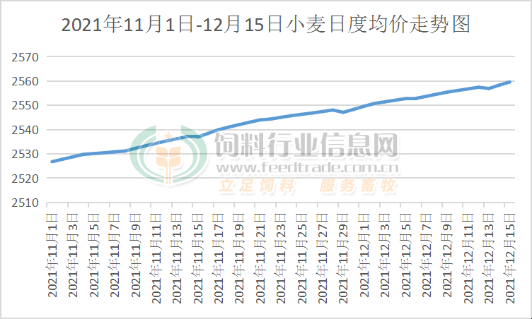 乔麦价格最新走势解析