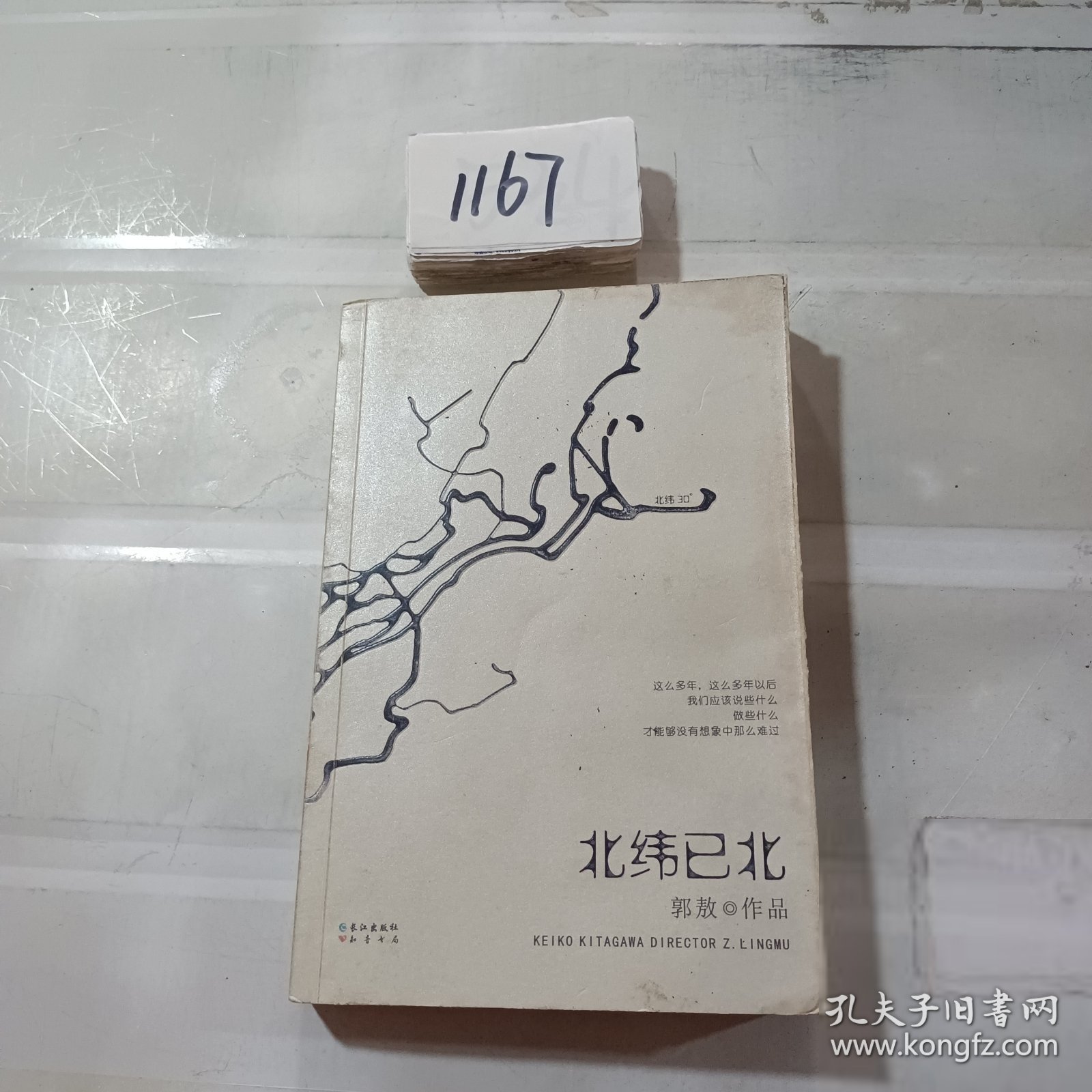 北纬已北，未知世界的冒险之旅下载启动