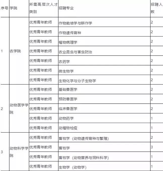 巴楚最新招聘信息全面解析