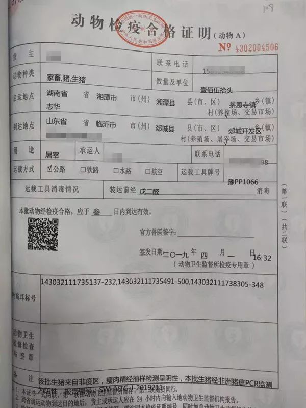 黟县防疫检疫站最新招聘概览