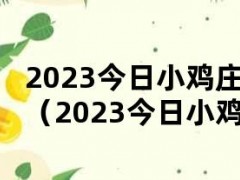 小鸡奥秘揭秘，最新探索成果与答案（2023年）