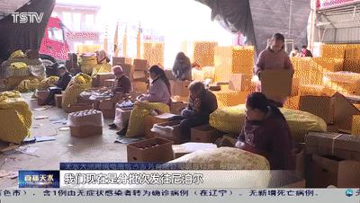 全球跨境电商市场的新动态与挑战，最新消息综述