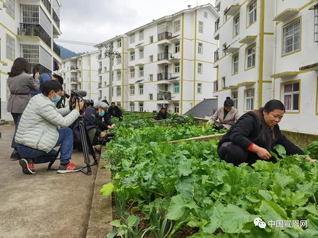 宣恩县文化局发展规划概览，未来蓝图揭晓