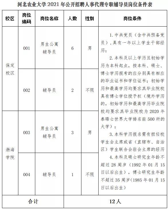 黄骅市最新招聘信息全面概览