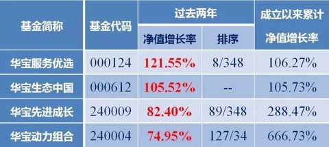 最新资讯，解析与探讨关于110020基金净值的最新动态及今日净值查询