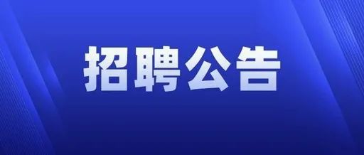 湛江招聘网最新招聘动态深度解析与解读