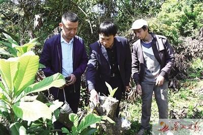 荔城区科技局项目最新进展及未来前瞻