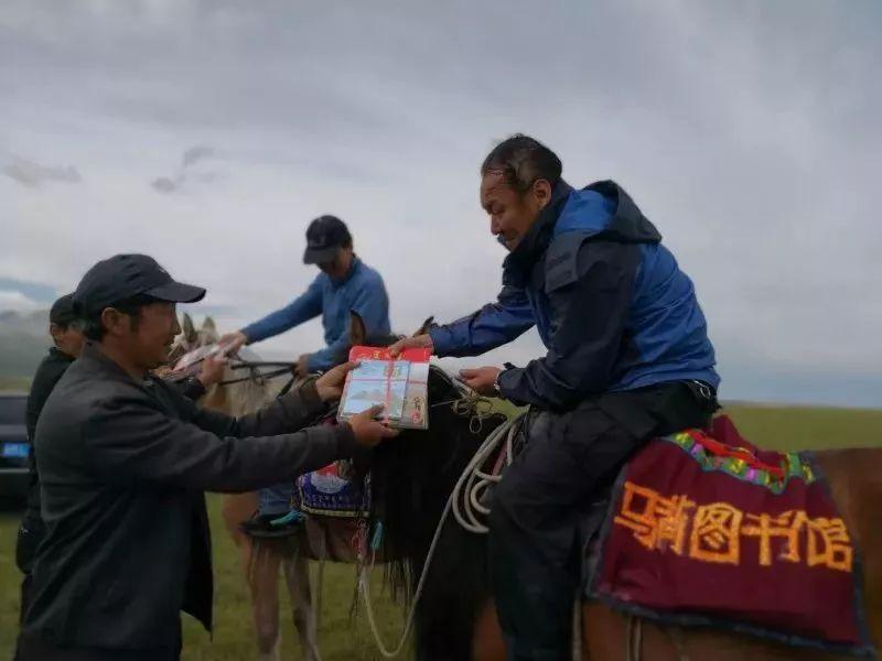 乌苏市图书馆最新招聘启事概览