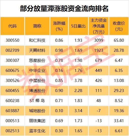 慈星股份引领行业创新，拓展市场版图，最新消息综述