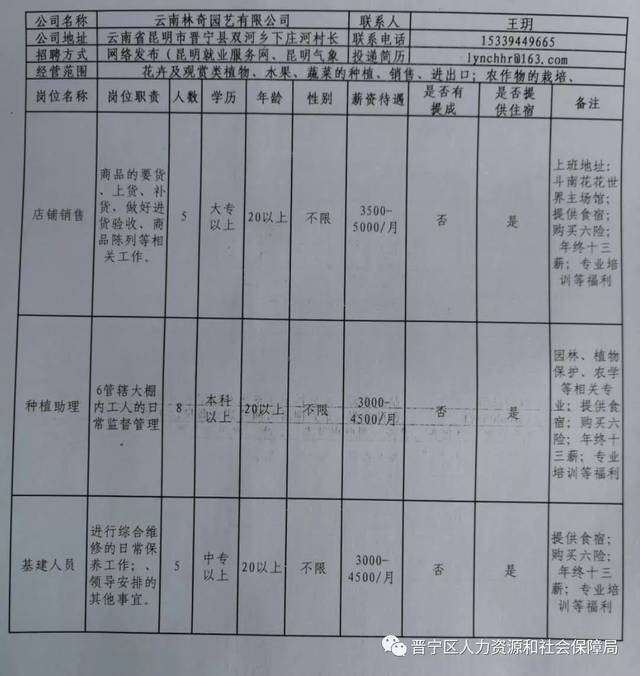 安宁市文化局招聘信息发布与文化事业发展前景展望