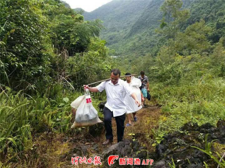 广西河池车祸最新报道