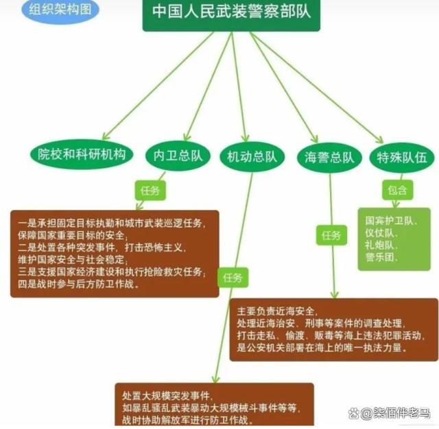 部队改革最新动态，重塑战斗力，迈向现代化新征程