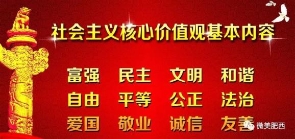 苏尚村委会最新招聘信息全面解析