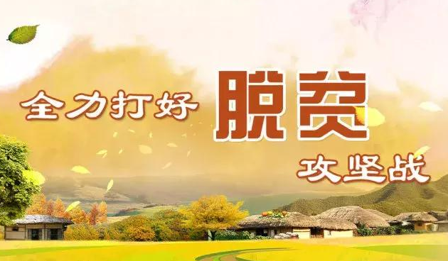 杜寨村民委员会最新招聘信息全面解析