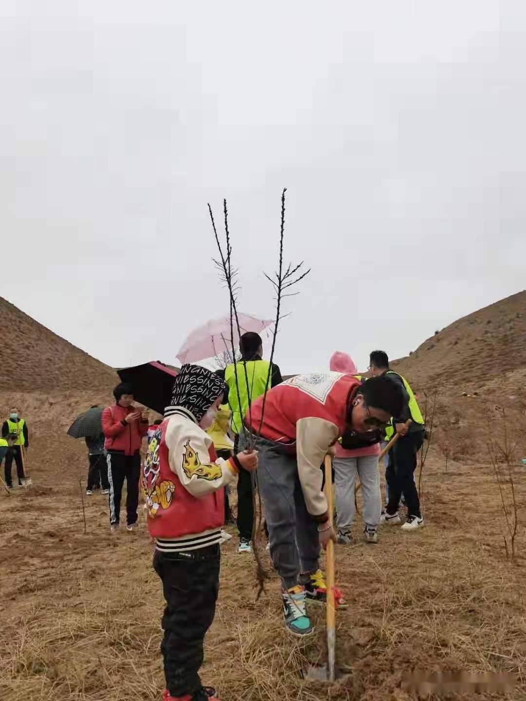 高新区骆驼滩社区最新招聘信息概览