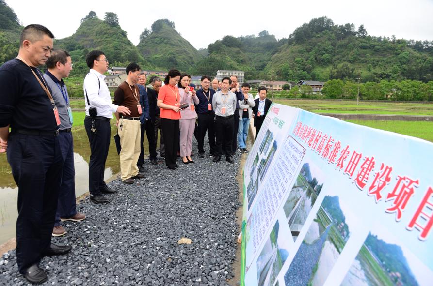 通道县播阳农场最新发展规划