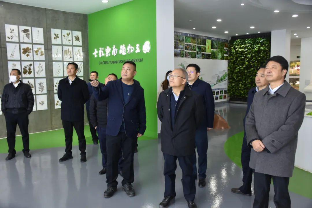 楚雄彝族自治州共青团市委最新项目，引领青年力量，推动地方发展