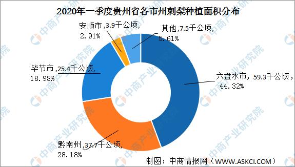 毕节地区市统计局最新发展规划概览